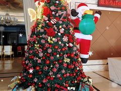 -名流健康高端体检中心·名宾门诊·健康管理