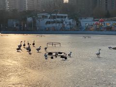 -团结湖公园