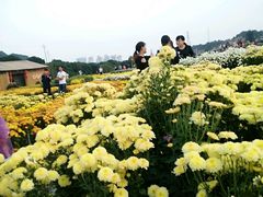 -乐享养生(东湖店)