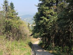 -冶父山国家森林公园