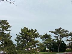 -棒棰岛宾馆景区