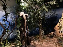 -重庆中国三峡博物馆(重庆博物馆)