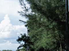 -汕尾风车岛