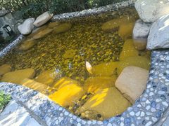 -天目湖涵田半山温泉