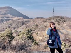 -阳台山自然风景区