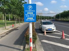 -上海佘山国家森林公园天马山园