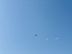 -春花秋色城市公园