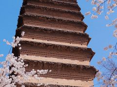 -西安博物院