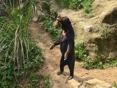 -杭州野生动物世界