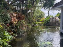 -鼓浪屿钢琴博物馆