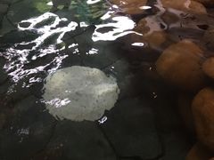 -河源客天下-温泉小镇