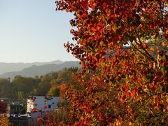 -塔川景区