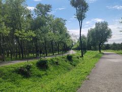 -东郊湿地公园