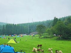 -武陵山森林公园