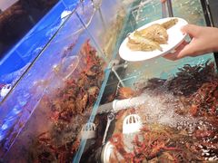 -苏格里岛自助烤肉海鲜火锅(成都金牛万达店)