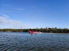 -春花秋色城市公园