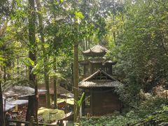 -都江堰普照寺