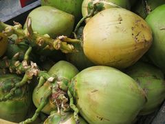 -墨脱石锅椰子鸡•香草鸭•东山羊(大东海店)