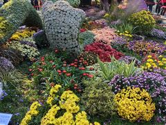 -杭州植物园
