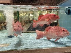 -阿伟海鲜楼·福建菜(延寿店)