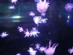 -杭州海底世界