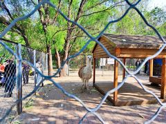 -长白岛森林公园