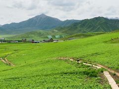 -扁都口生态休闲旅游区