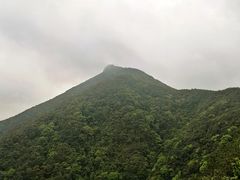 -银瓶嘴森林公园