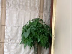 -圣爵菲斯大酒店(长沙世界之窗店)