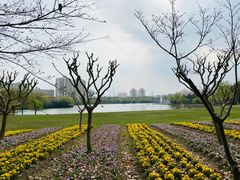 -黄兴公园