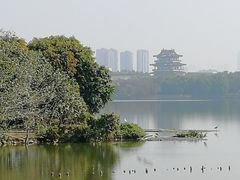 -海珠湖公园