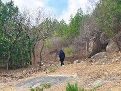 -白水寺森林公园