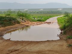 -光明小镇欢乐田园