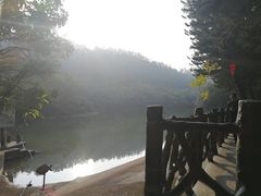-滴水岩森林公园