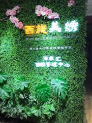 -西施无菌半永久纹绣眉眼影唇轻增发纹发际线
