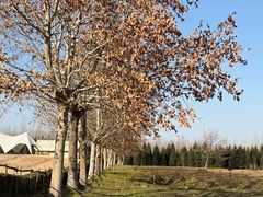 -汉长安城未央宫国家考古遗址公园