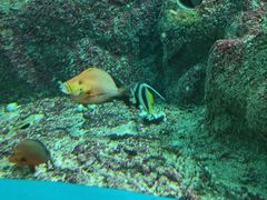 -新加坡海洋生态馆