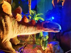 -恐龙探索乐园(磁器口店)