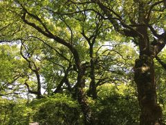 -普陀山风景名胜区-法雨禅寺