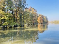 -池杉湖湿地公园