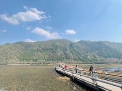 -腾冲北海湿地