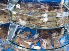 -蓝珊甄选海鲜自助·火锅大排档(近阿那亚店)