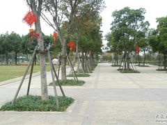 -新江湾城公园