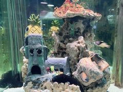 -太平洋海底世界