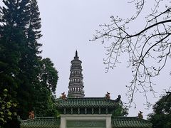-顺峰山公园