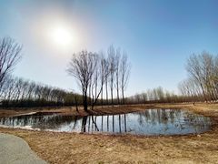 -东郊湿地公园