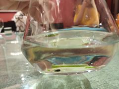 -香巴拉云南餐厅(华莱坞店)