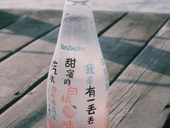 -羊山湖公园