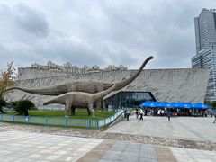 -安徽省地质博物馆