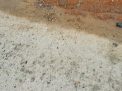 -象山森林公园